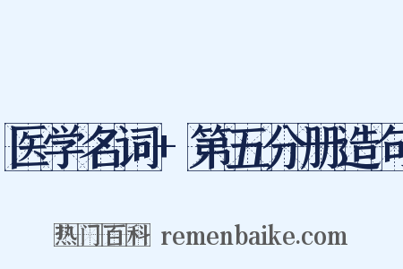 医学名词+第五分册造句是什么意思的图片